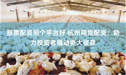 股票配资那个平台好 杭州期货配资：助力投资者撬动更大收益
