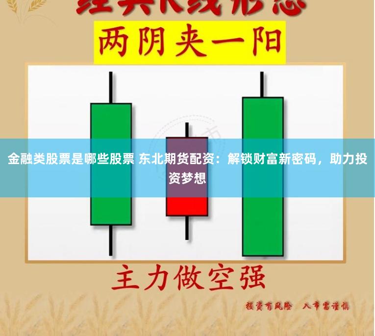 金融类股票是哪些股票 东北期货配资：解锁财富新密码，助力投资梦想