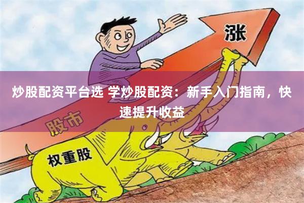 炒股配资平台选 学炒股配资：新手入门指南，快速提升收益