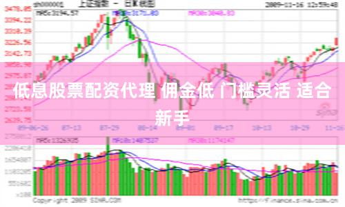 低息股票配资代理 佣金低 门槛灵活 适合新手