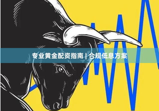 专业黄金配资指南 | 合规低息方案