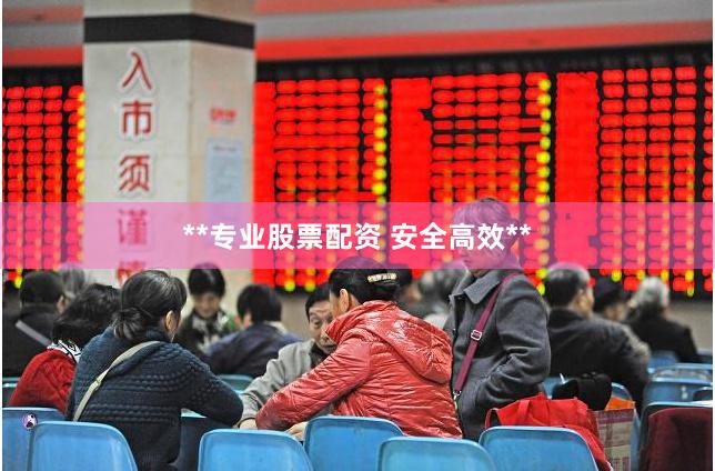 **专业股票配资 安全高效**